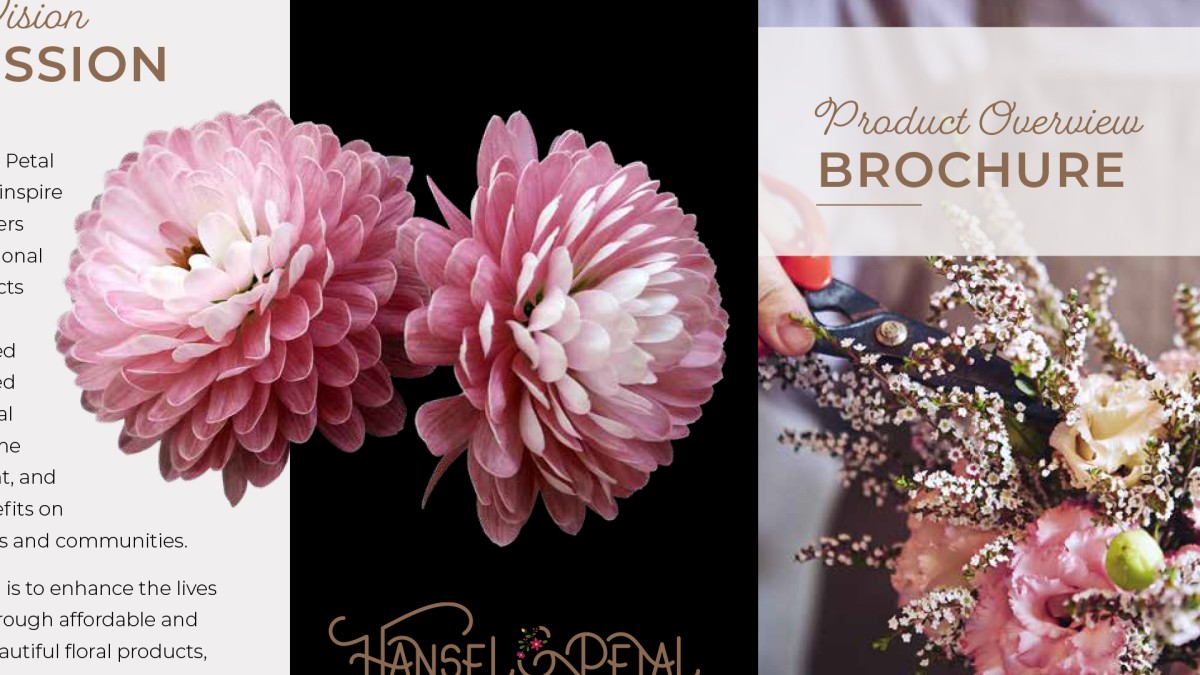 InDesign 2020 Essential Training