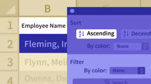 Excel 2016 for the Mac: Managing and Analyzing Data