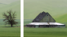 Advanced Photography: Diptychs, Triptychs, and Aspect Ratios