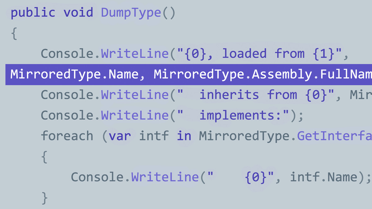 CLR Reflection for Developers