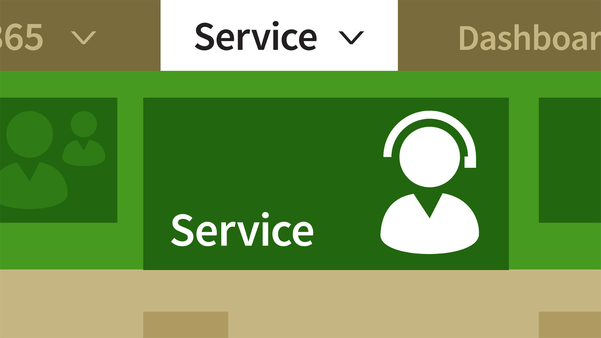 Microsoft Dynamics 365: Advanced Techniques