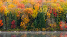 Landscape Photography: Autumn