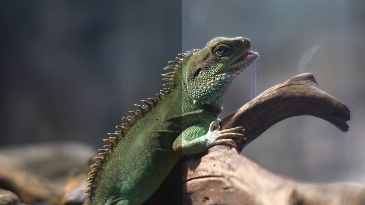 Premiere Pro Guru: LUTs and Look Files