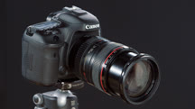 Canon 7D Mark II: Tips, Tricks, & Techniques