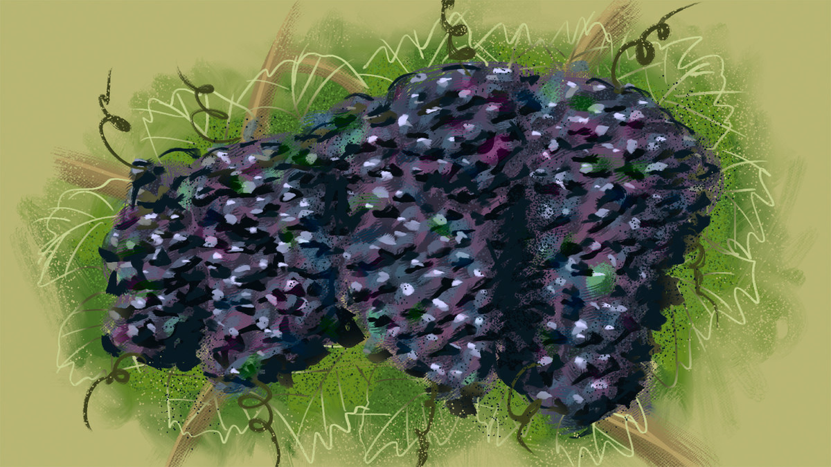 Photoshop: Natural-Media Painting