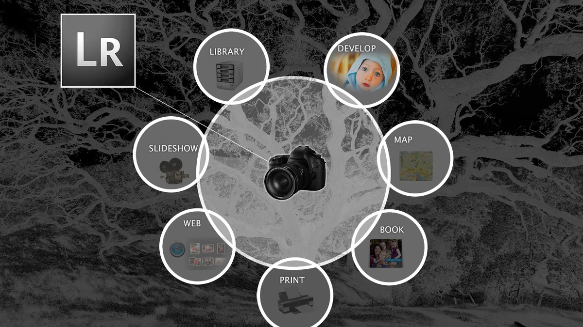 Lightroom Classic CC: Managing Photo Catalogs