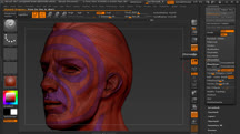 Managing Edge Flow in ZBrush