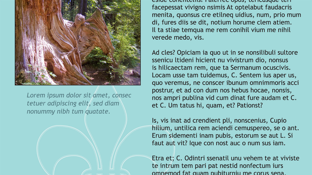 معرفی InDesign