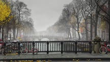 The Making of Amsterdam Mist: The Natural Elements