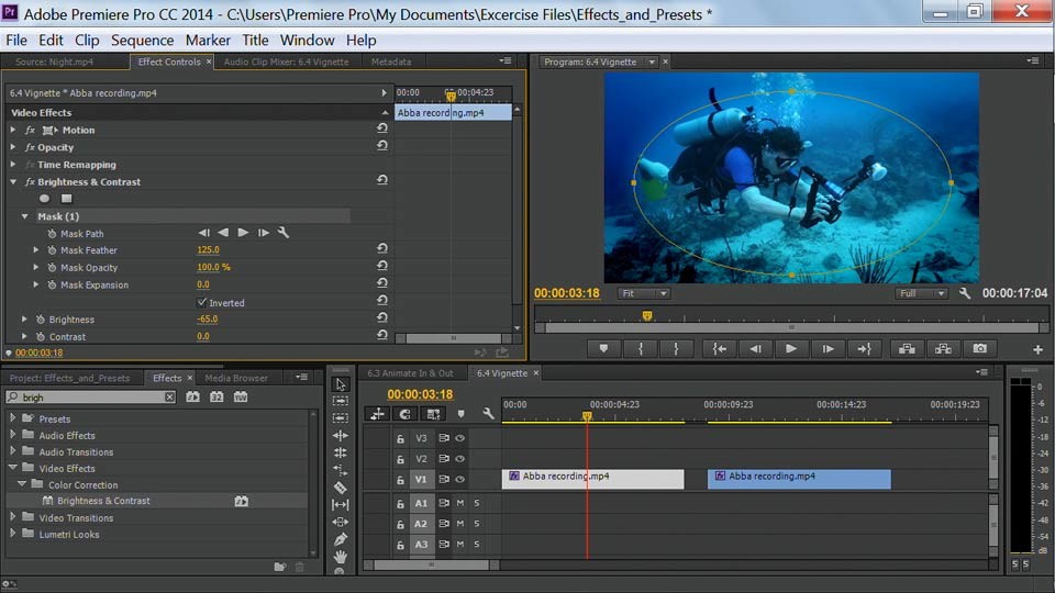 Premiere Pro Guru: Effects and Preset Management