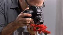 Exploring Photography: Lens-Reversal Macro