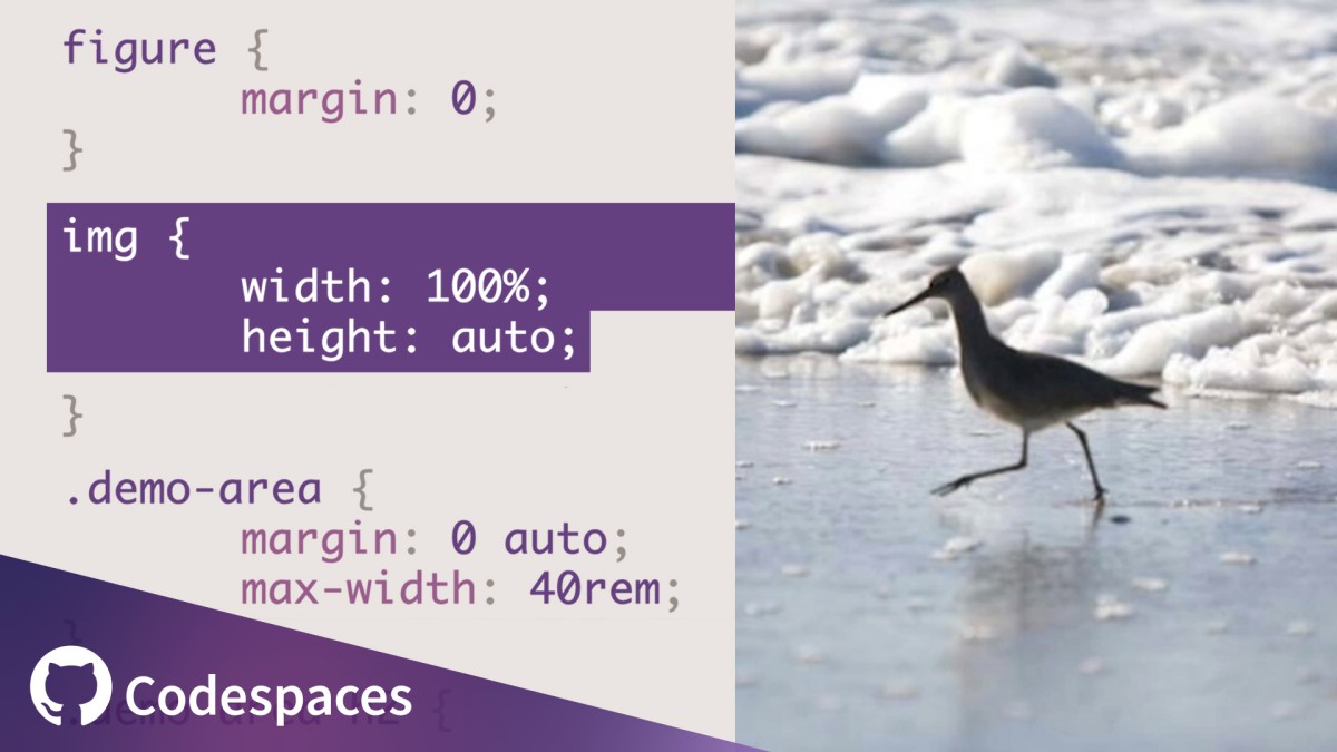 نکات CSS