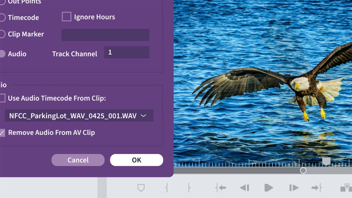 چگونه می توانم این کار را در Premiere Pro انجام دهم