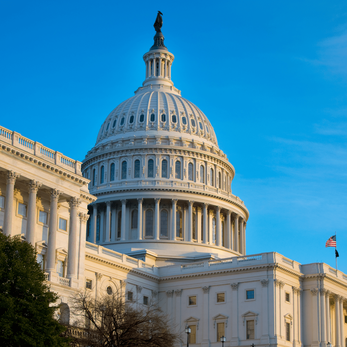 سیاست و سیاست Medicaid