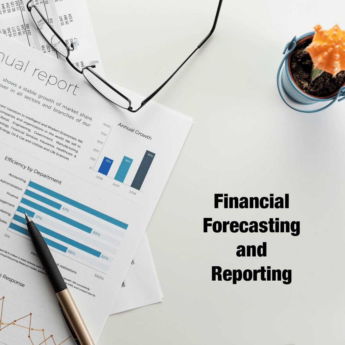 پیش بینی و گزارش مالی