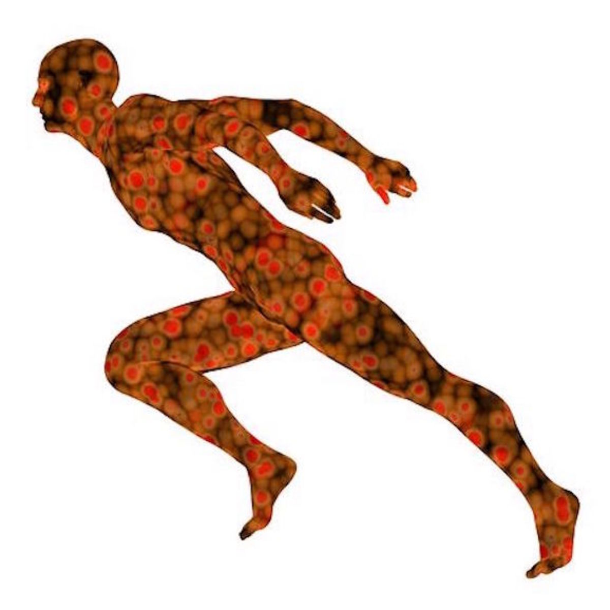 علم ورزش