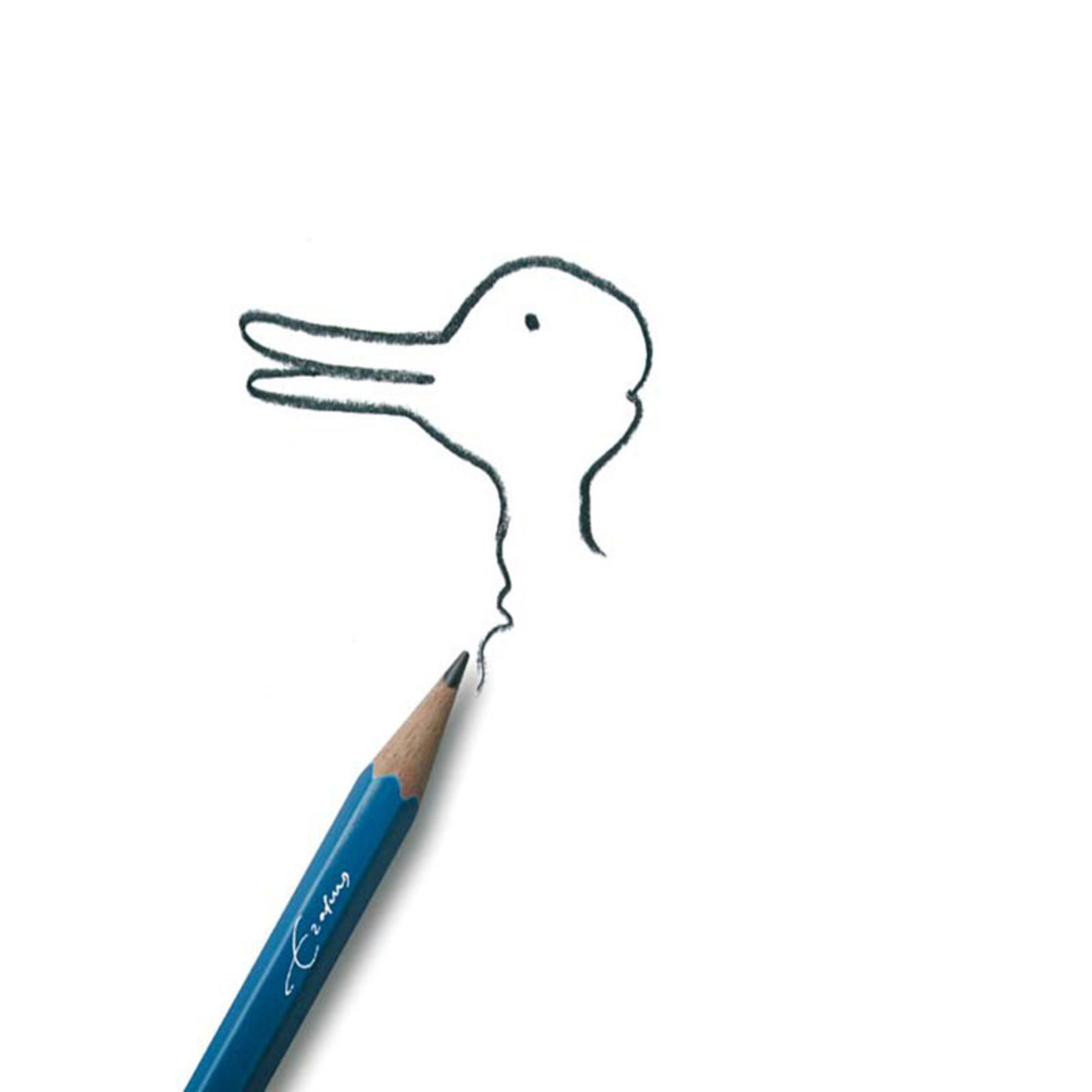 سیاست شکاکیت