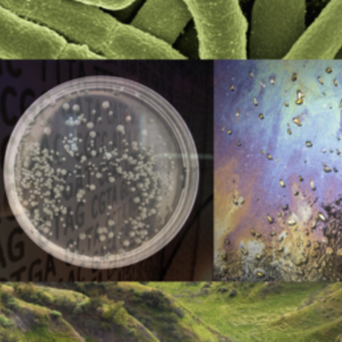 زندگی مهندسی: Synbio، اخلاق زیستی و سیاست عمومی