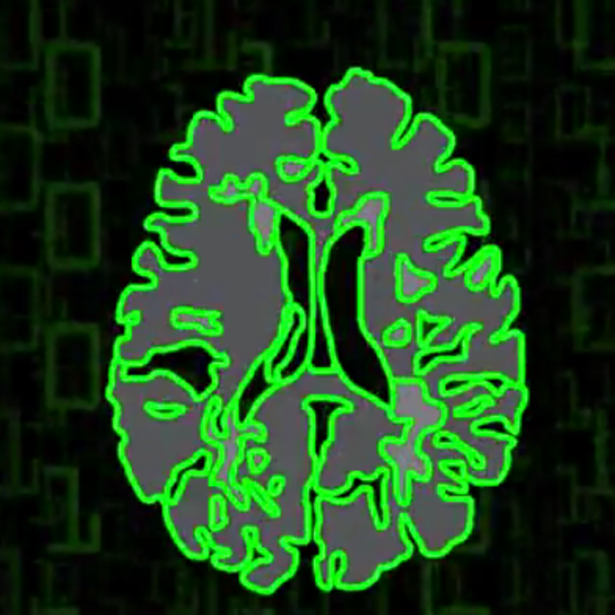 مقدمه ای بر Neurohacking در R