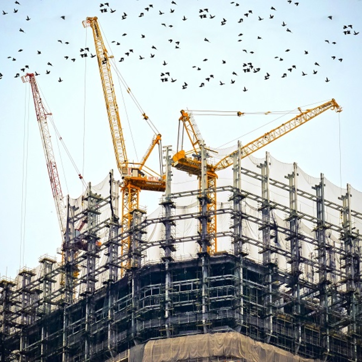 ساختار: ایجاد چارچوبی برای رشد کسب و کار