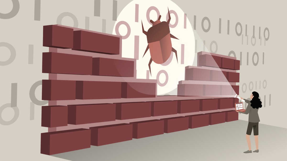 CRISC Cert Prep: 1 Governance