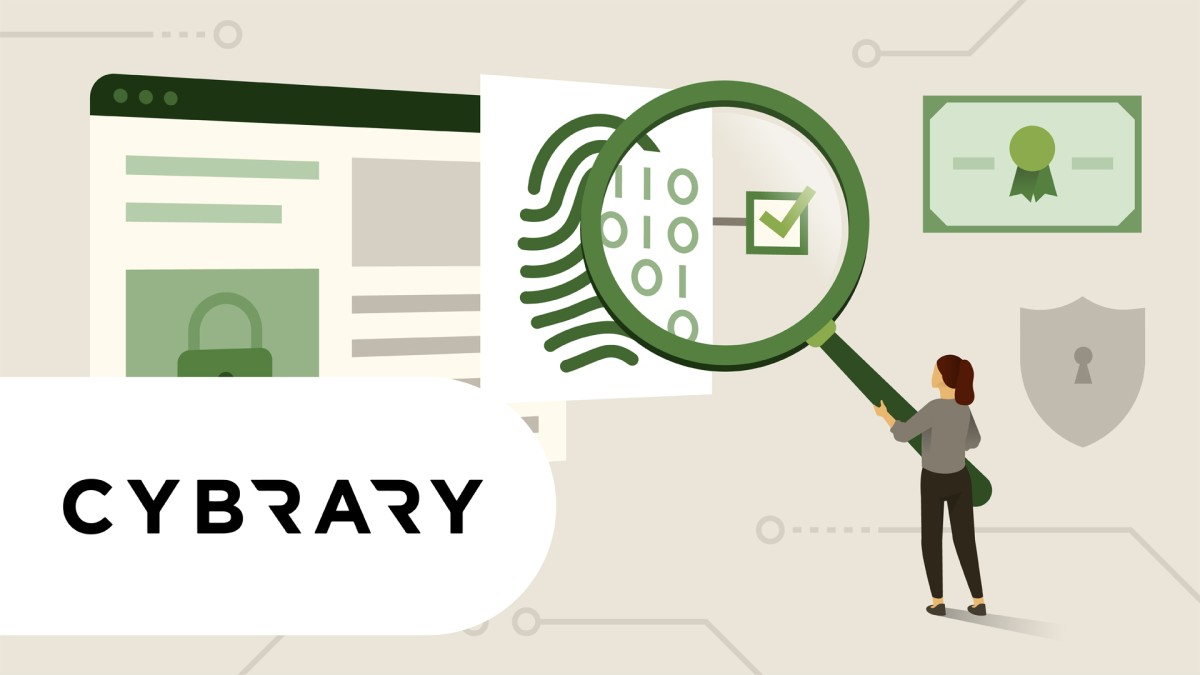 آزمایش نفوذ توهین آمیز