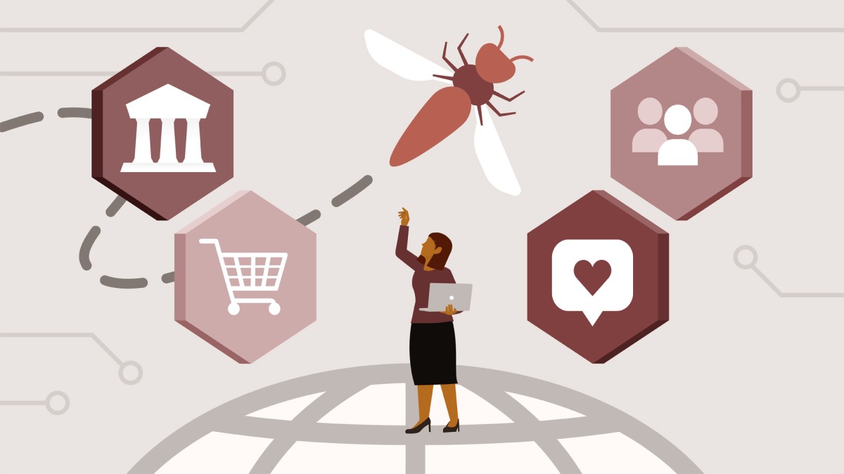 The OWASP API Security Top 10: An Overview