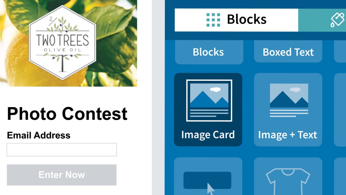 Mailchimp Essential Training